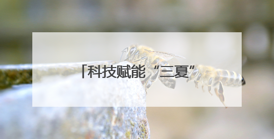 科技赋能“三夏”生产 阳新县农业机械化水平再升级