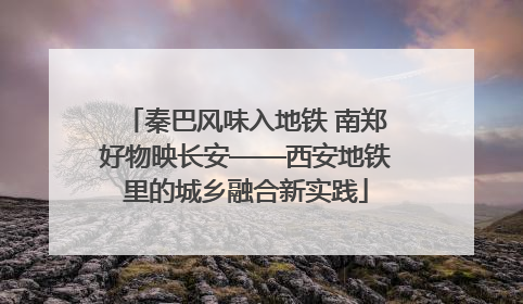 秦巴风味入地铁 南郑好物映长安——西安地铁里的城乡融合新实践