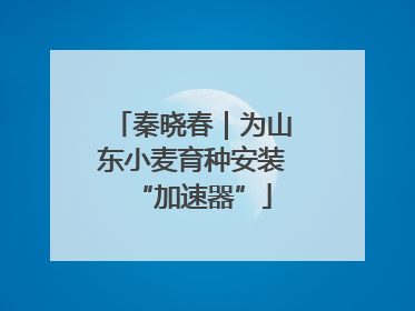 秦晓春｜为山东小麦育种安装“加速器”