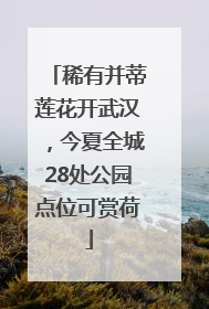 稀有并蒂莲花开武汉，今夏全城28处公园点位可赏荷
