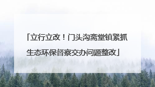 立行立改！门头沟斋堂镇紧抓生态环保督察交办问题整改