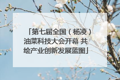 第七届全国（杨凌）油菜科技大会开幕 共绘产业创新发展蓝图
