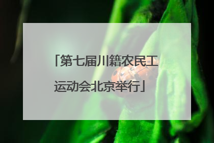 第七届川籍农民工运动会北京举行
