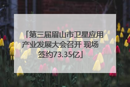 第三届眉山市卫星应用产业发展大会召开 现场签约73.35亿