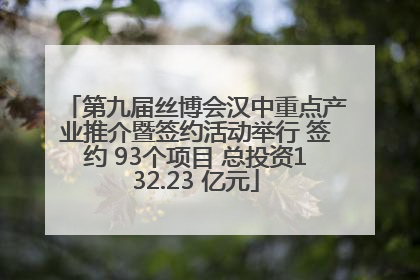 第九届丝博会汉中重点产业推介暨签约活动举行 签约 93个项目 总投资132.23 亿元