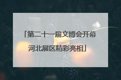 第二十一届文博会开幕 河北展区精彩亮相