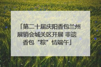 第二十届庆阳香包兰州展销会城关区开展 非遗香包“粽”情端午