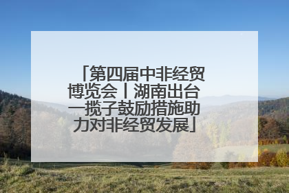 第四届中非经贸博览会丨湖南出台一揽子鼓励措施助力对非经贸发展