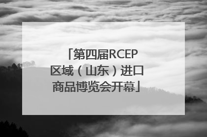 第四届RCEP区域（山东）进口商品博览会开幕