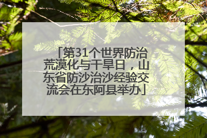 第31个世界防治荒漠化与干旱日，山东省防沙治沙经验交流会在东阿县举办
