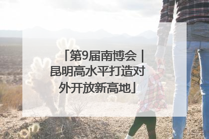 第9届南博会｜昆明高水平打造对外开放新高地