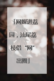 网媒进荔园，汕尾荔枝借“网”出圈