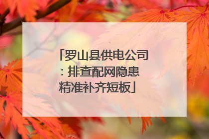 罗山县供电公司：排查配网隐患 精准补齐短板