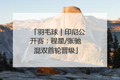 羽毛球｜印尼公开赛：程星/张驰混双首轮晋级