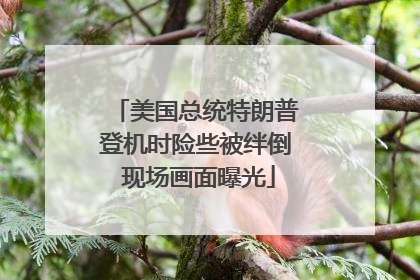 美国总统特朗普登机时险些被绊倒 现场画面曝光
