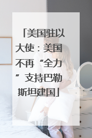 美国驻以大使：美国不再“全力”支持巴勒斯坦建国