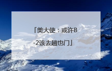 美大使：或许B-2该去趟也门