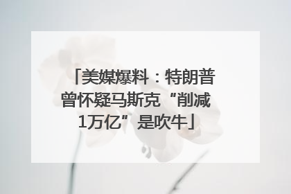 美媒爆料：特朗普曾怀疑马斯克“削减1万亿”是吹牛
