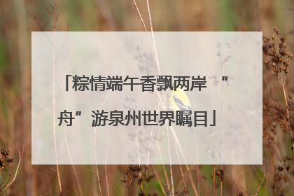 粽情端午香飘两岸 “舟”游泉州世界瞩目