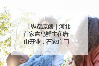 纵览原创｜河北首家盒马鲜生在唐山开业，石家庄门店预计8月开业