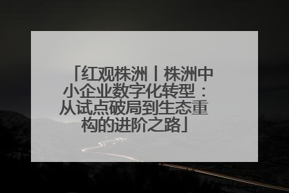 红观株洲丨株洲中小企业数字化转型：从试点破局到生态重构的进阶之路