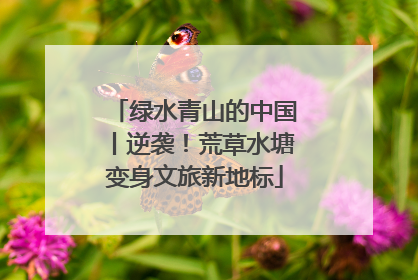 绿水青山的中国丨逆袭！荒草水塘变身文旅新地标