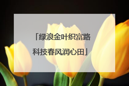 绿浪金叶织富路 科技春风润心田