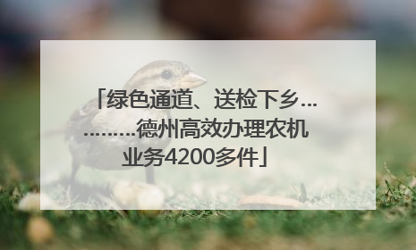 绿色通道、送检下乡…………德州高效办理农机业务4200多件