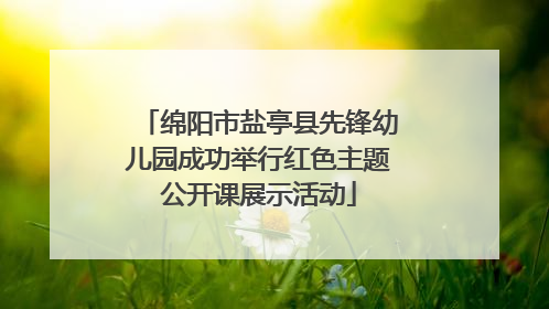 绵阳市盐亭县先锋幼儿园成功举行红色主题公开课展示活动