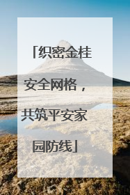 织密金桂安全网格，共筑平安家园防线