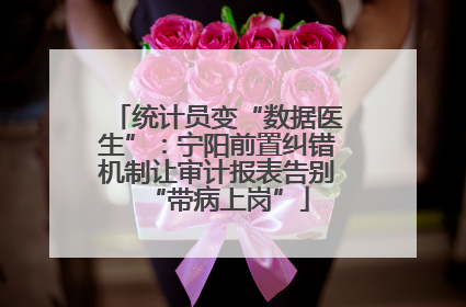 统计员变“数据医生”：宁阳前置纠错机制让审计报表告别“带病上岗”