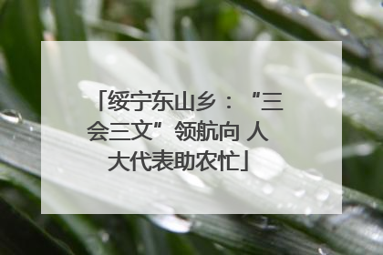 绥宁东山乡：“三会三文”领航向 人大代表助农忙