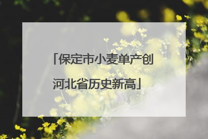 保定市小麦单产创河北省历史新高
