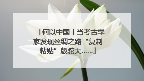 何以中国丨当考古学家发现丝绸之路“复制粘贴”版驼夫……