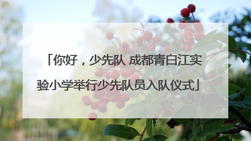 你好，少先队 成都青白江实验小学举行少先队员入队仪式