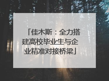佳木斯：全力搭建高校毕业生与企业精准对接桥梁