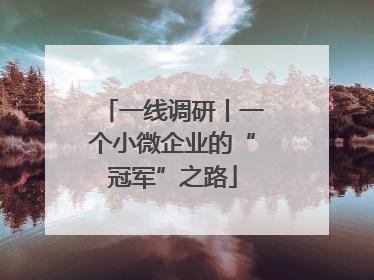 一线调研丨一个小微企业的“冠军”之路