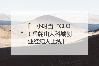 一小时当“CEO”！岳麓山大科城创业经纪人上线