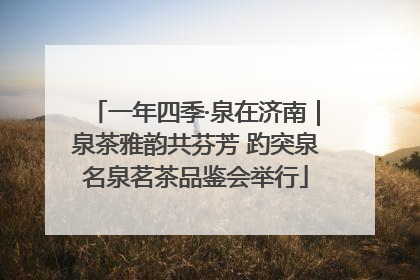一年四季·泉在济南｜泉茶雅韵共芬芳 趵突泉名泉茗茶品鉴会举行