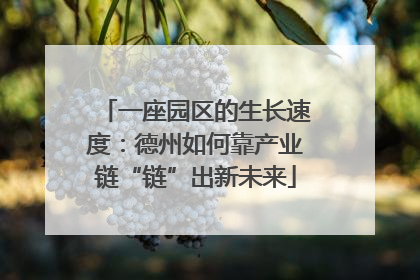 一座园区的生长速度：德州如何靠产业链“链”出新未来