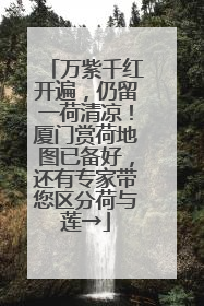 万紫千红开遍，仍留一荷清凉！厦门赏荷地图已备好，还有专家带您区分荷与莲→