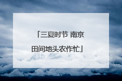 三夏时节 南京田间地头农作忙