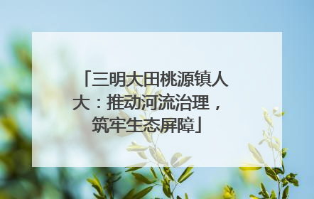 三明大田桃源镇人大：推动河流治理，筑牢生态屏障