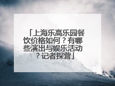 上海乐高乐园餐饮价格如何？有哪些演出与娱乐活动？记者探营