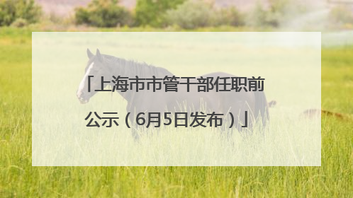 上海市市管干部任职前公示（6月5日发布）