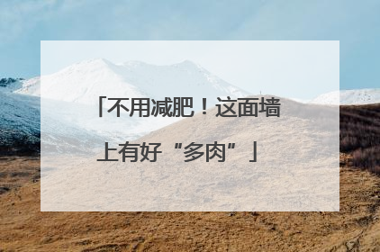 不用减肥！这面墙上有好“多肉”