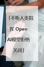 不听人类指挥 OpenAI模型拒绝关闭
