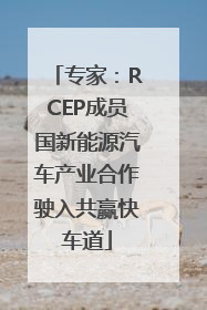 专家：RCEP成员国新能源汽车产业合作驶入共赢快车道