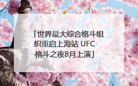世界最大综合格斗组织重启上海站 UFC格斗之夜8月上演