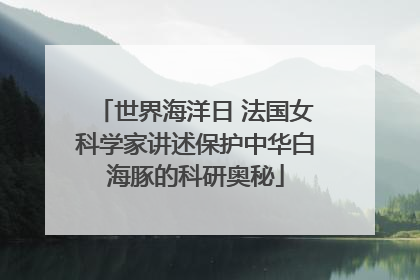 世界海洋日 法国女科学家讲述保护中华白海豚的科研奥秘